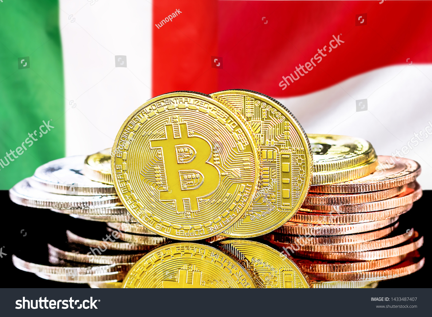 Cá cược bón