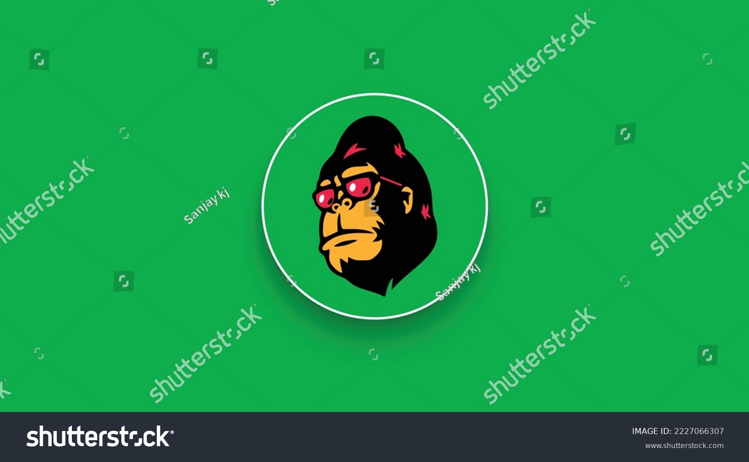 Cricket bet