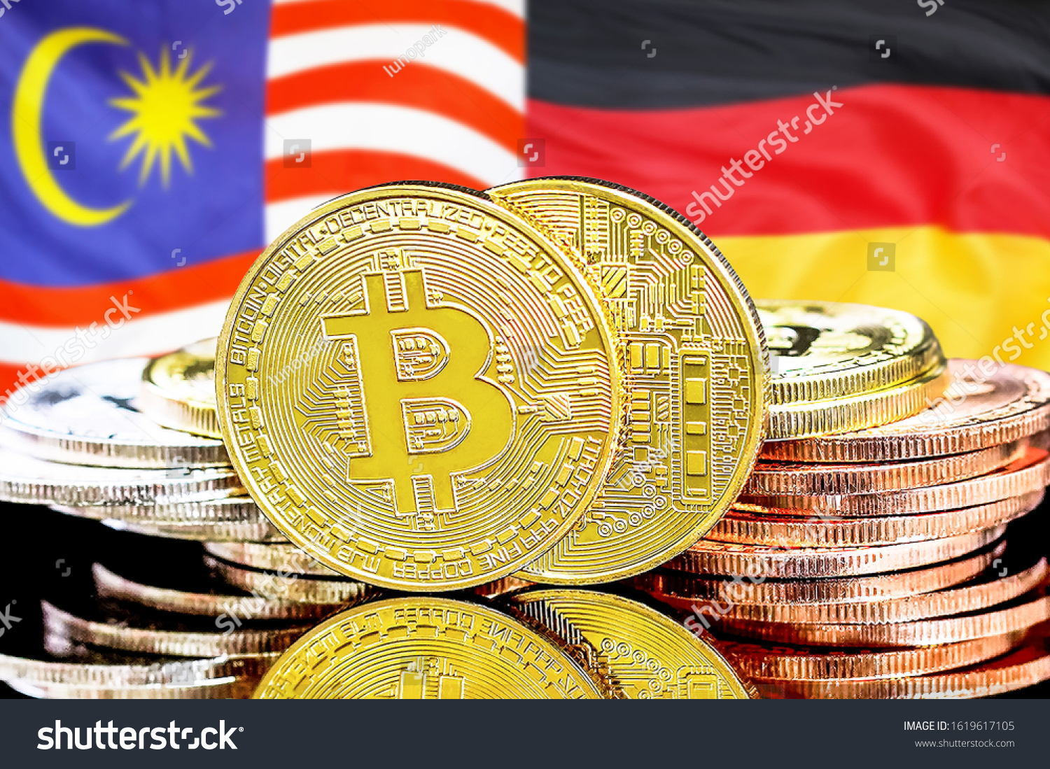 Cá Vàng Cá Bạc