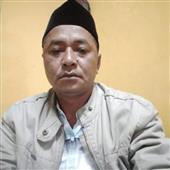 Hoa vàng chiên