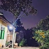 Chơi game kiếm 