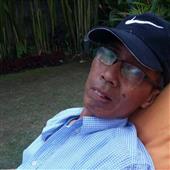 Sư tử lớn