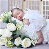 Bạch Xà Truyện