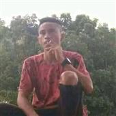 Rừng Nhiệt Đới 