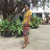 Game màu siêu c