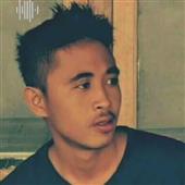 Cây thông Plink