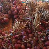 Đoán nhân vật