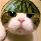 Cỏ ba lá vàng