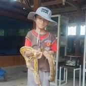 Xúc Xắc Trang S