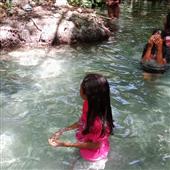 Gấu Trúc Rừ