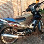 Chú Heo Ngân Hà
