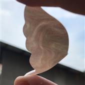 Mèo Thần Tài