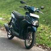 Cây Tài Vượ
