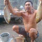 Xếp hình bảo vậ