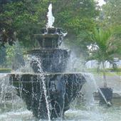 Thủ tục nhậ