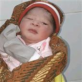 Thám hiểm v