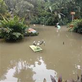 Hilo