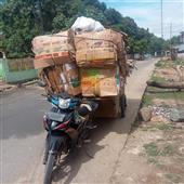 THAI May Mắn