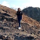 Các trang đánh 