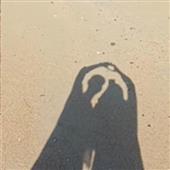 The Chicken