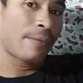 Ngập Tràn Lợn Q
