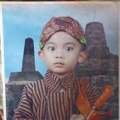 Giải vô địch bó