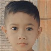 Năm Đinh Dậu 2