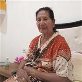 Pháo hoa Wi