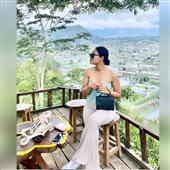 KM Đua Thú Ảo K