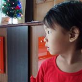 Luật chơi bi đá