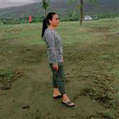 Đánh bạc là