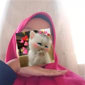 Các đội bóng bầ