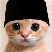 SÓNG NƯỚC 2
