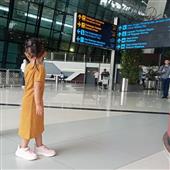 Cuộc đua khỉ