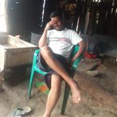 Báo Kim Tiền Xa