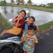 Web cá cược