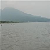 Quần vợt