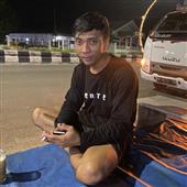 Cây thông Plink