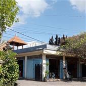 Sư Tử Nhảy Múa