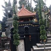 Linh vật World 
