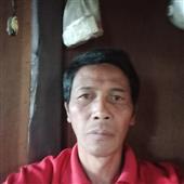 Vàng Giả Kim