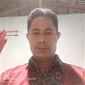 Rắn và than