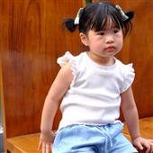 Giải vô địch bó