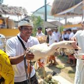 Cách chơi bóng 
