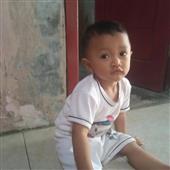 Khỉ đột May