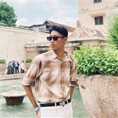 Trâu Hoang Điên