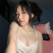 Cá cược đua chó