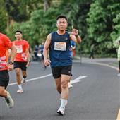 Lễ hội bò t