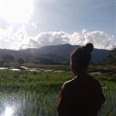 Kho Báu Của