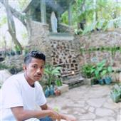 Những giải đấu 